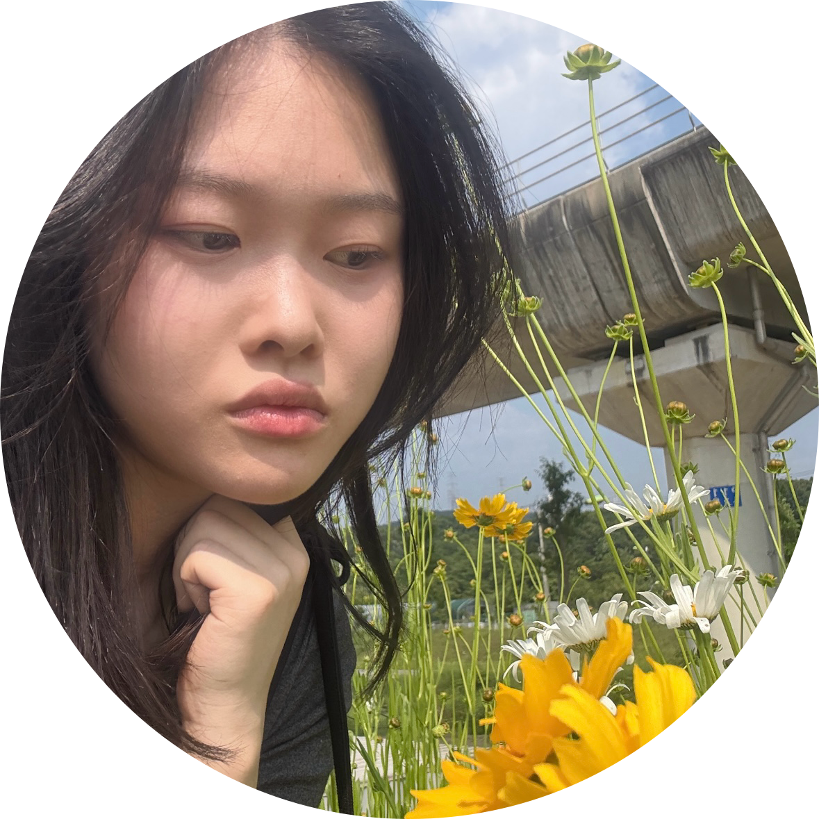 코희 프로필