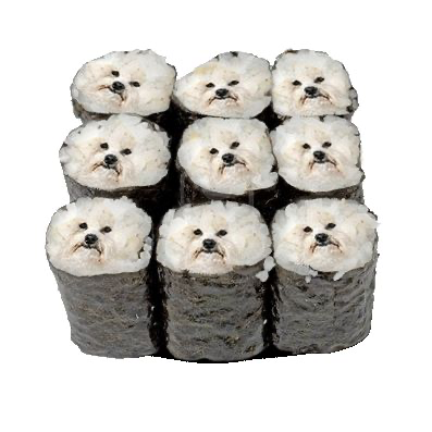 자니난드라마 프로필