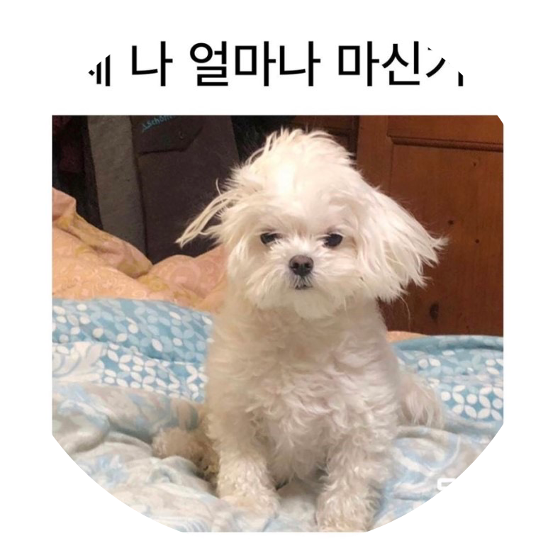 으에에아아아악 프로필
