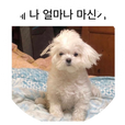 으에에아아아악
