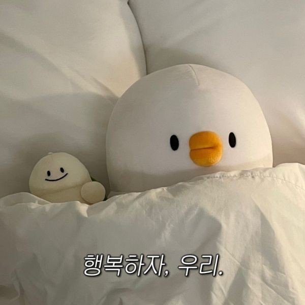 duck1907 프로필