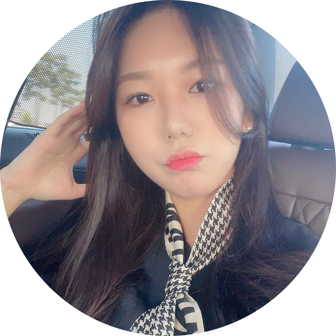 메르비스 프로필