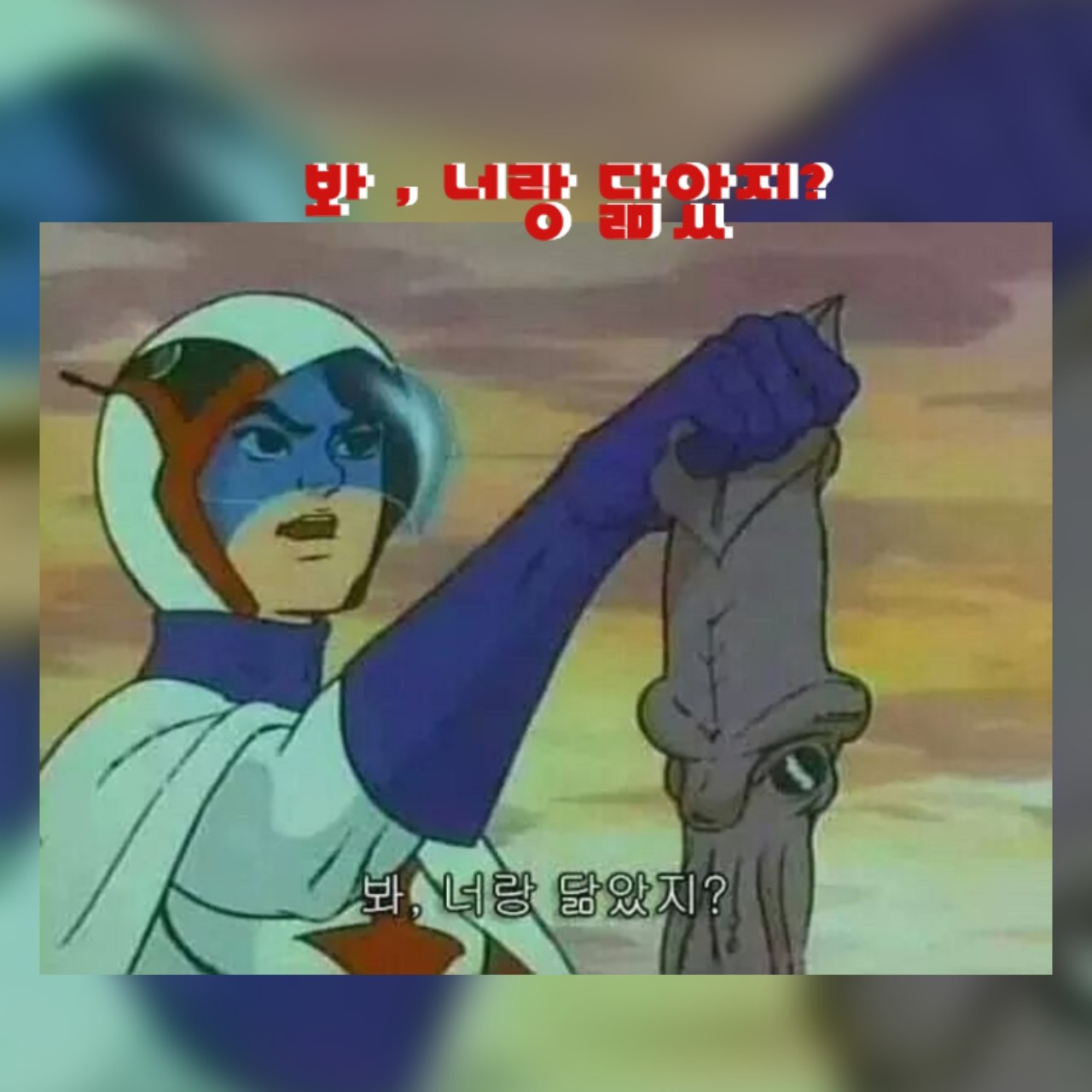 축구싶냐농구있네 프로필