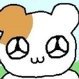 자몽쥬스o_o