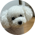 흔드리