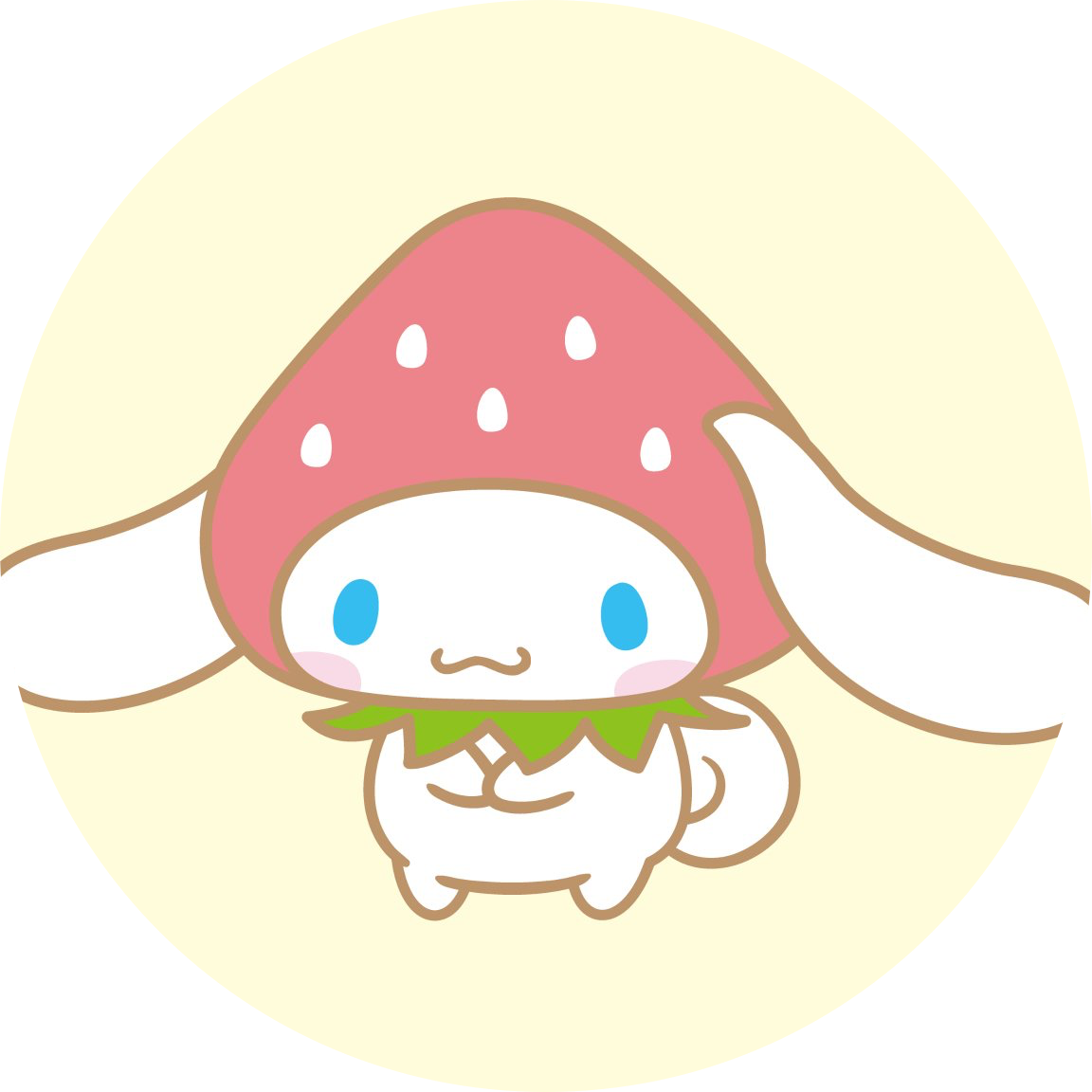 킹짜요 프로필