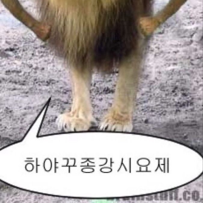 러걷댜229 프로필