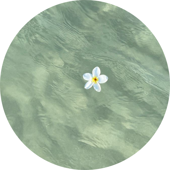 깽ss 프로필