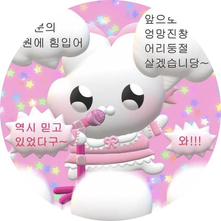 돌돌이누나 프로필