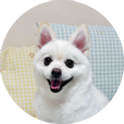 밍키폼