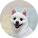 밍키폼