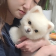mee쨩