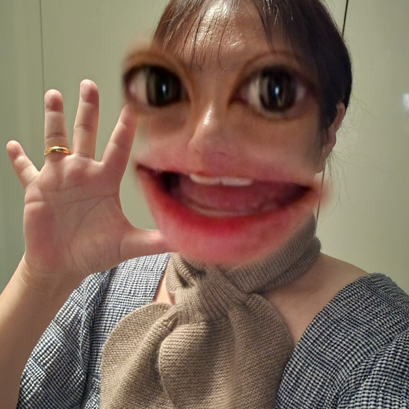 쳐피 프로필
