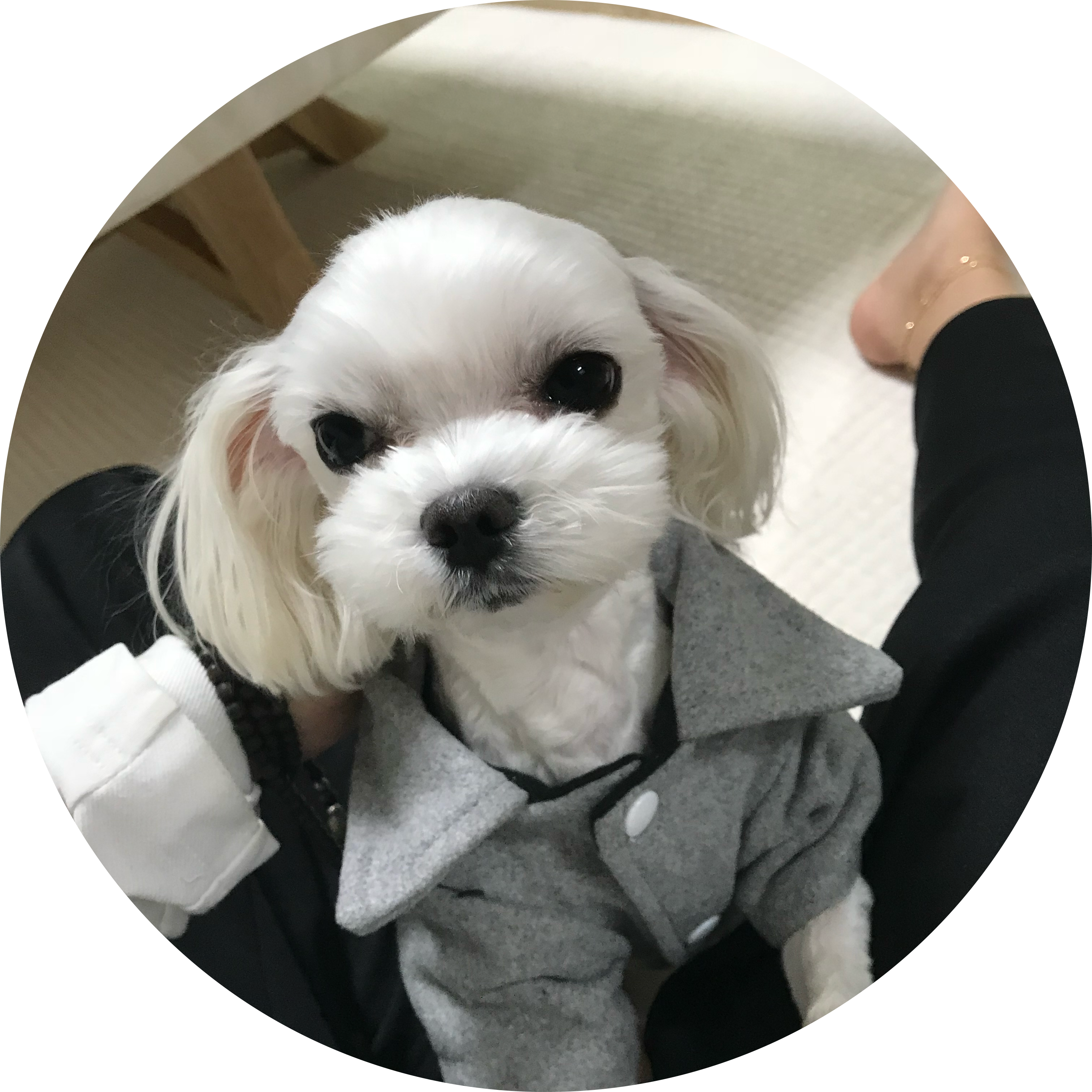 쭌뇽2 프로필