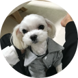 쭌뇽2