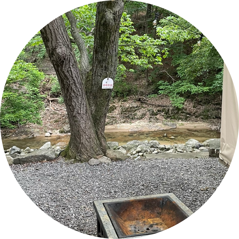 고니죵 프로필