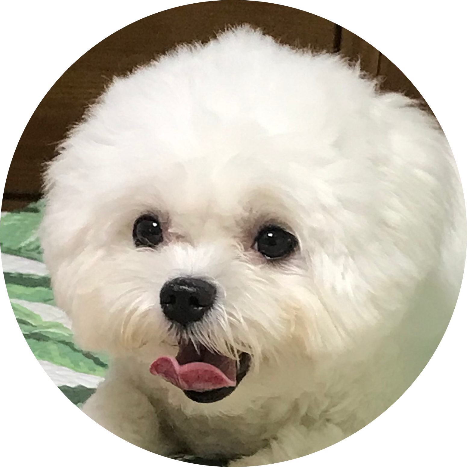 리뷰어 프로필