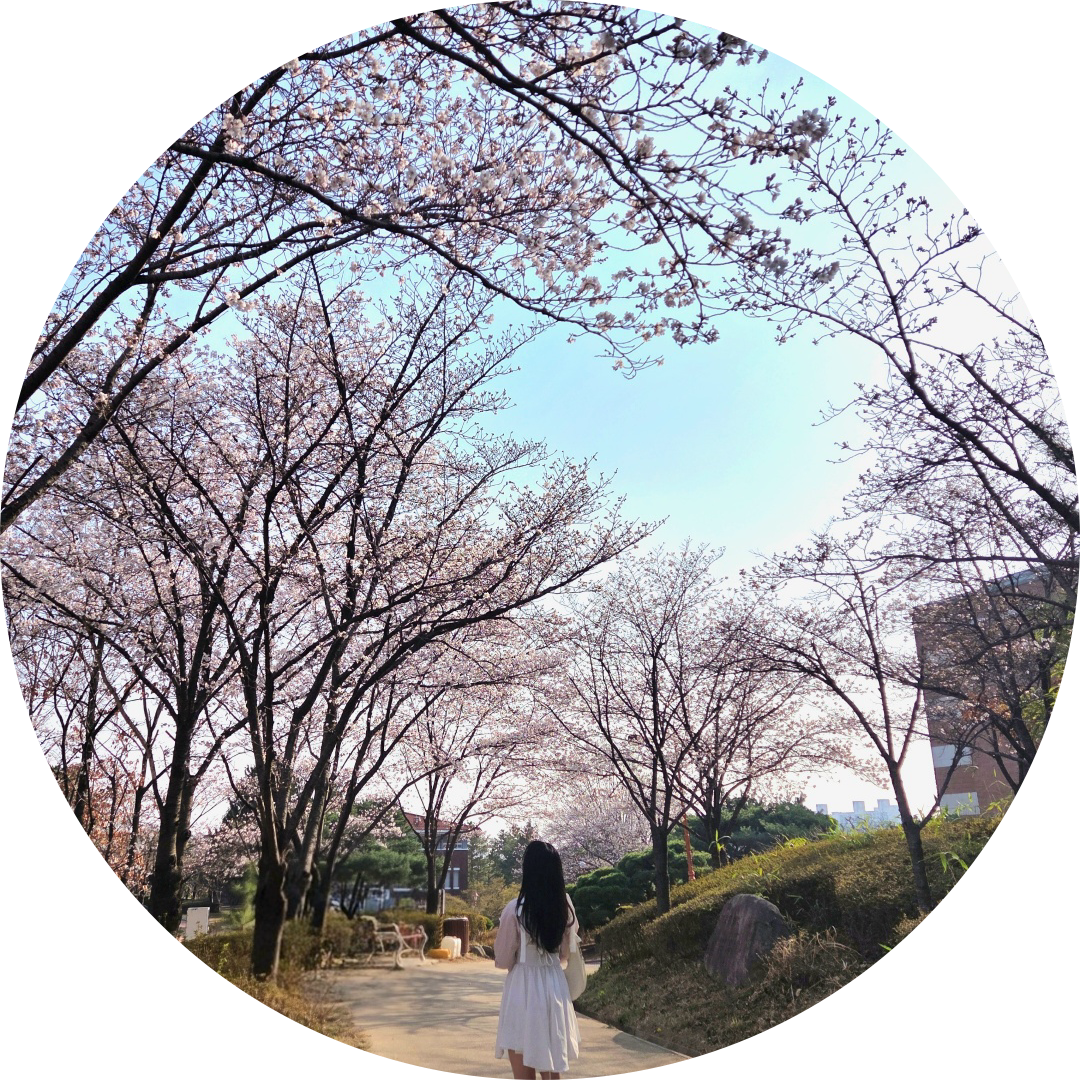 younis 프로필
