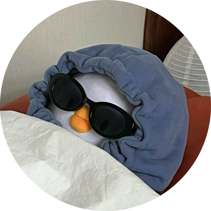 다리미리미 프로필