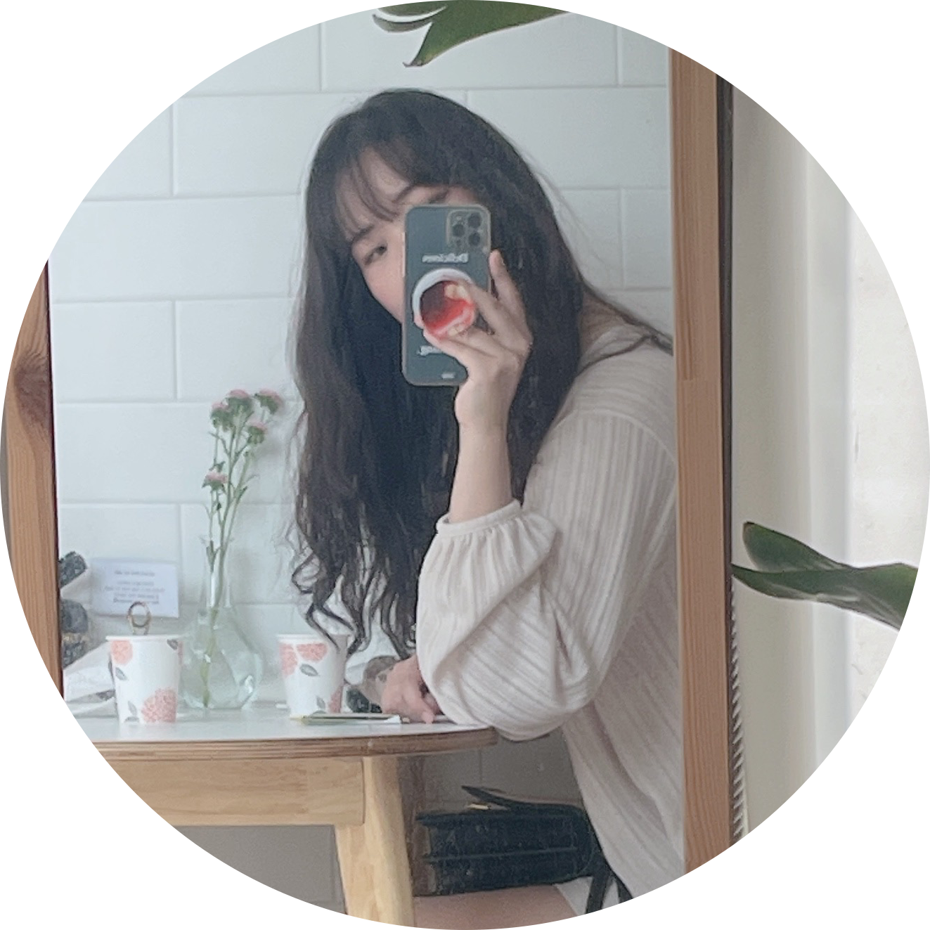 chloechoi 프로필