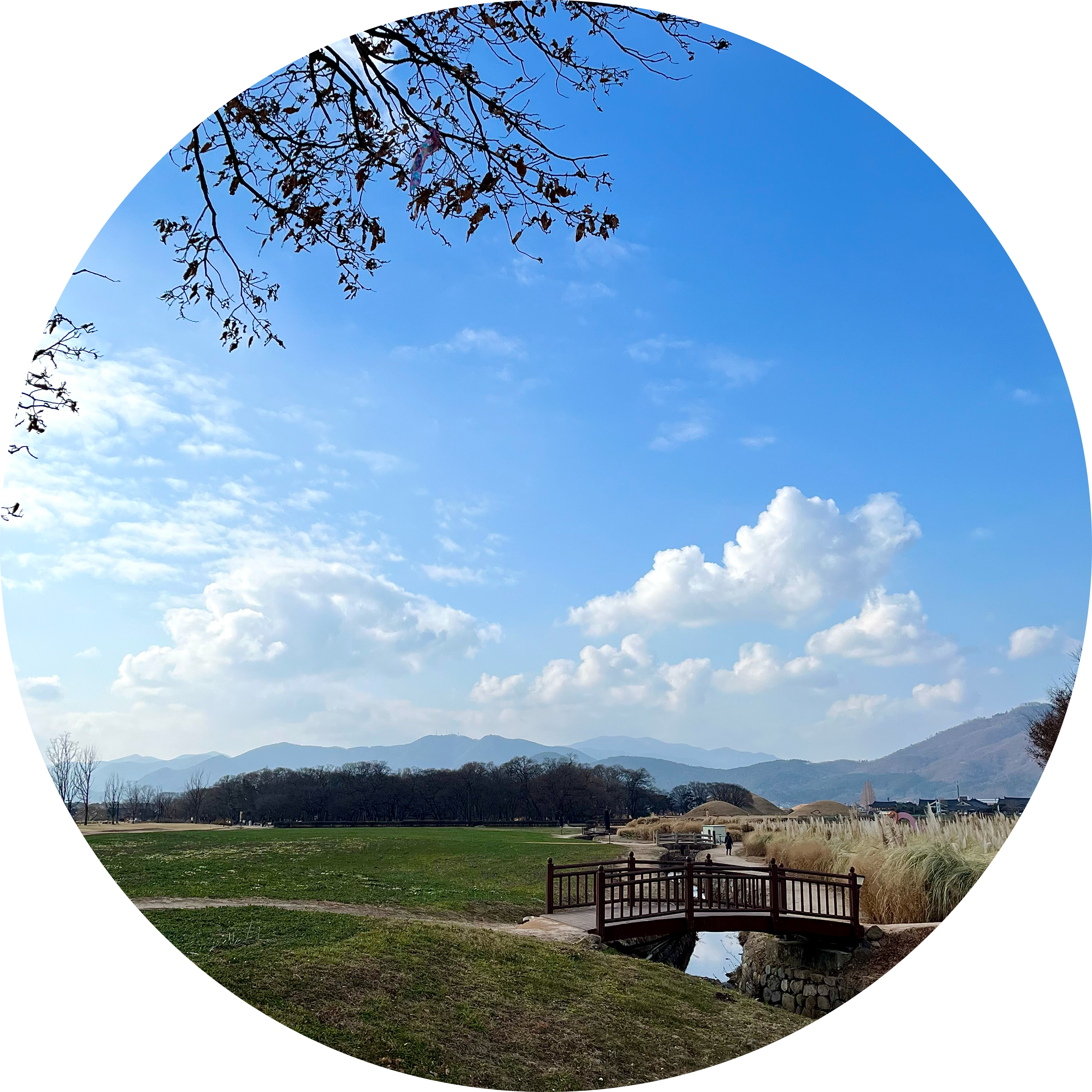 델리먄주 프로필