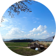 델리먄주