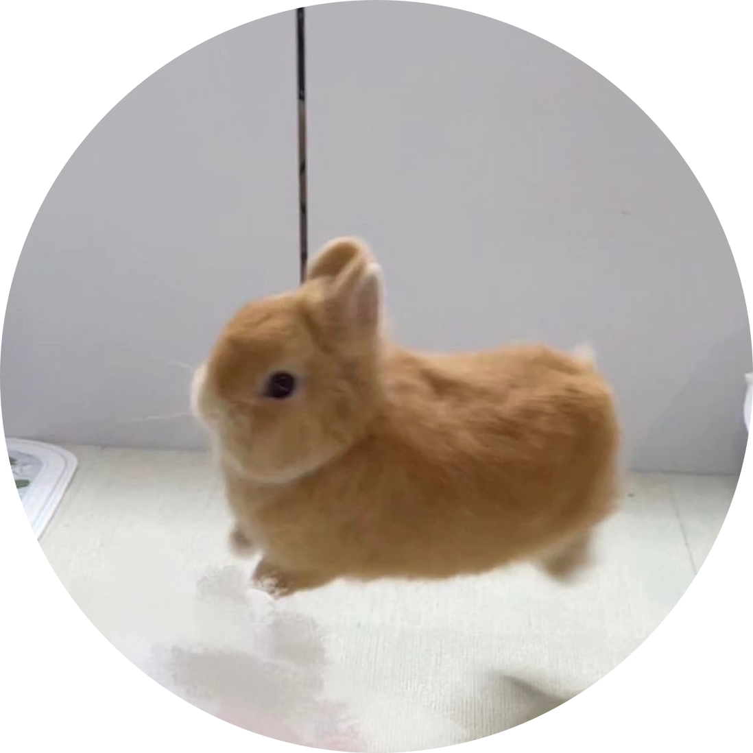 리뷰어 프로필
