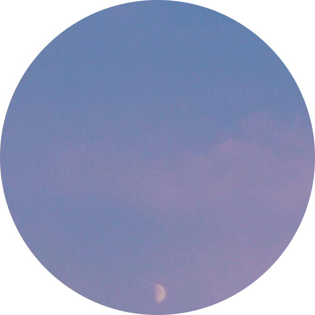 죠이조이 프로필