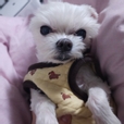 은하솔