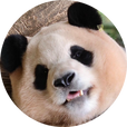 뚜바오