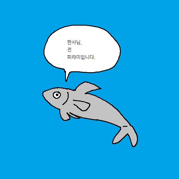 오늘은또 프로필