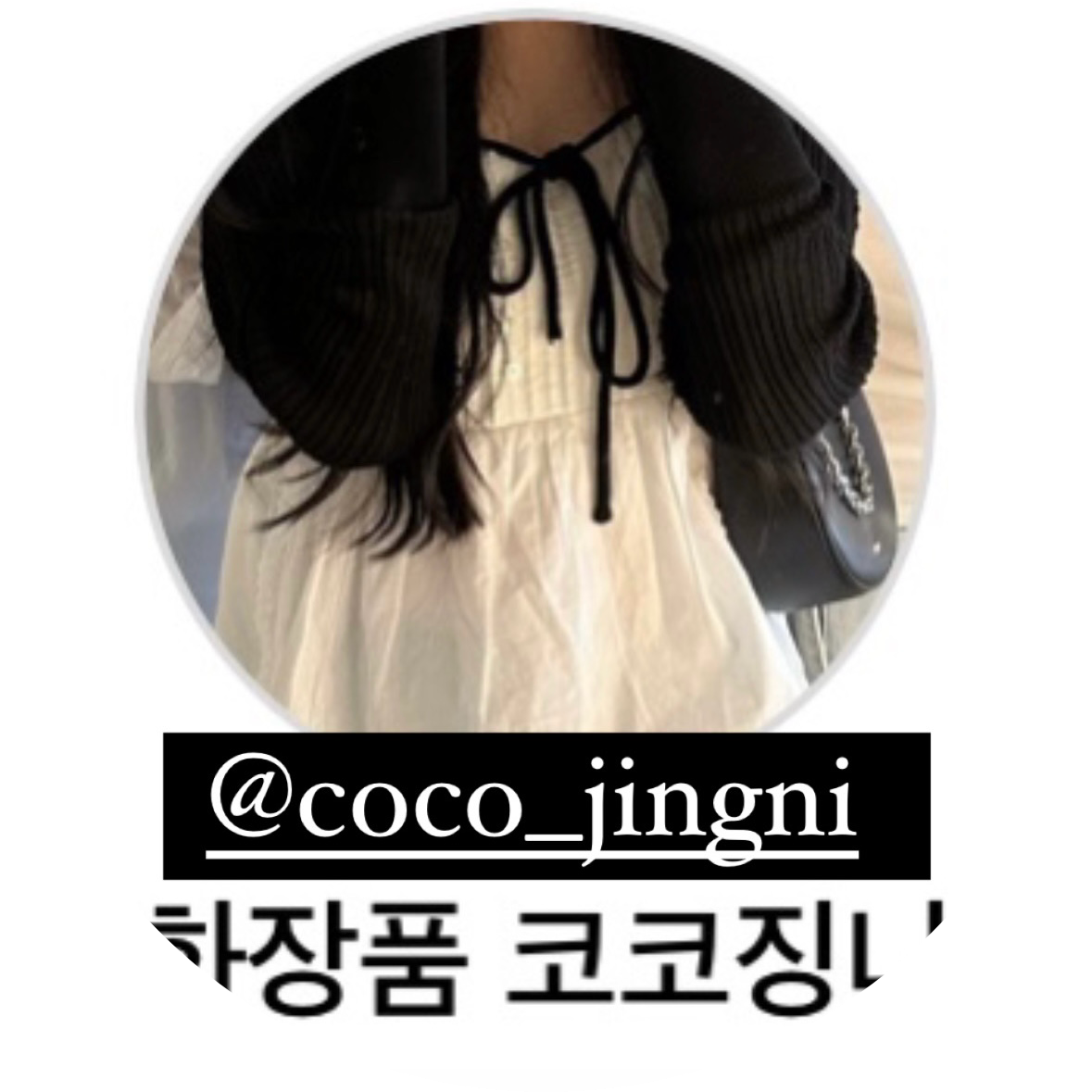 코코징니 프로필