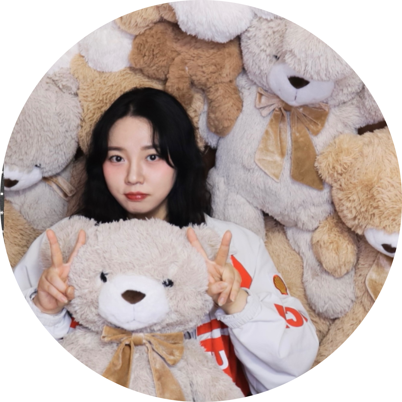 또혜지 프로필