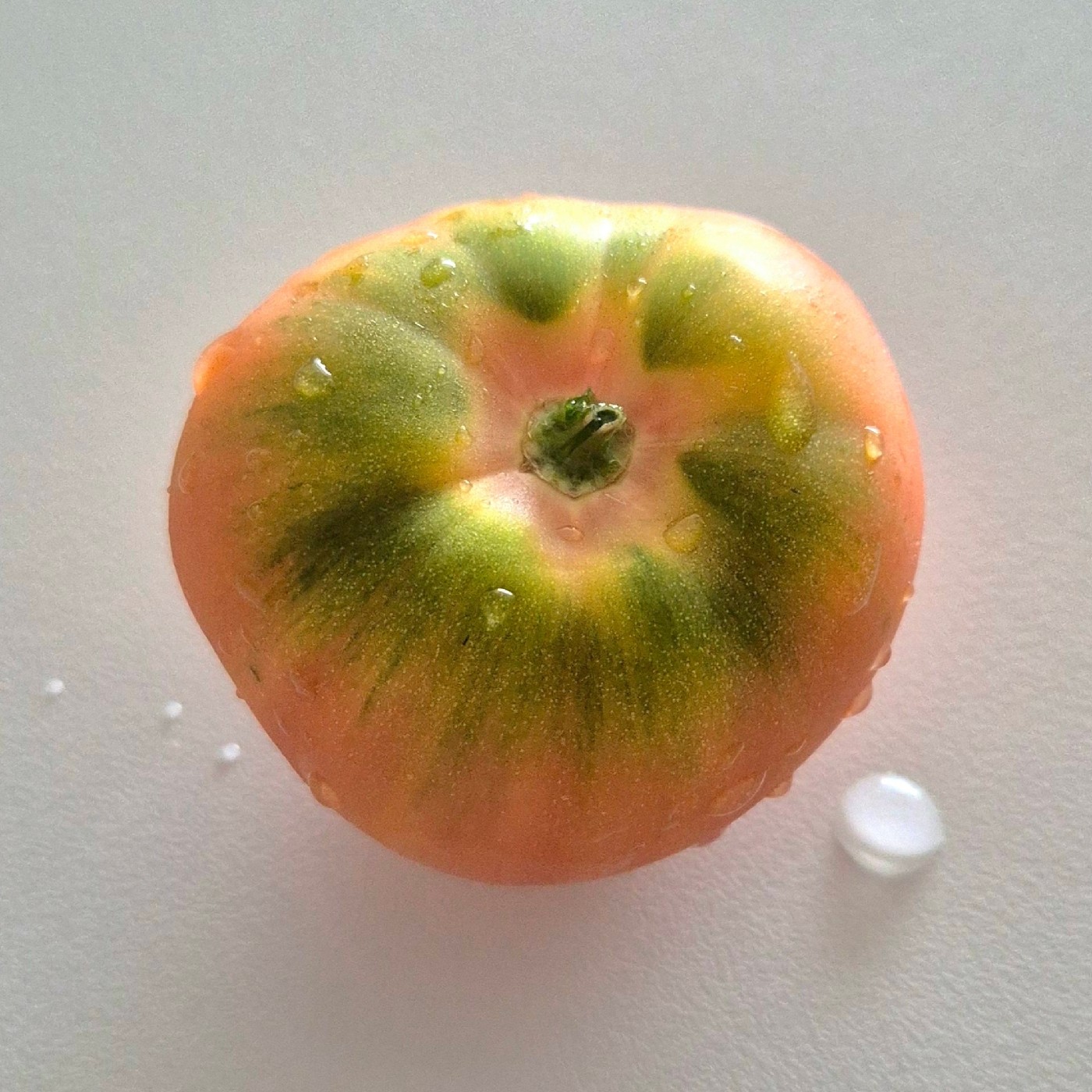 malrintoma 프로필