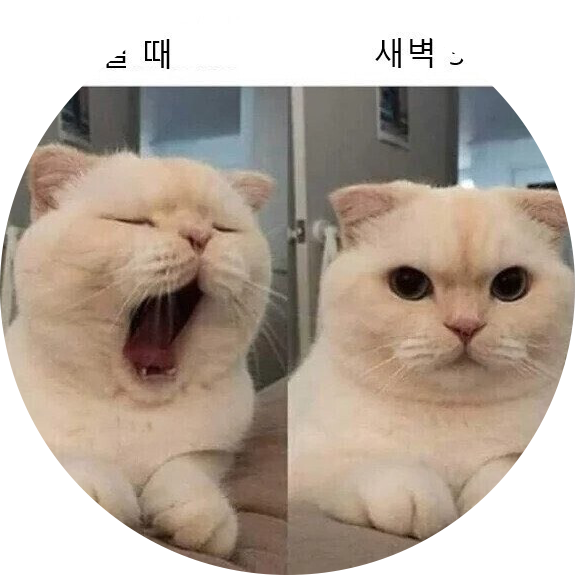 리뷰어 프로필