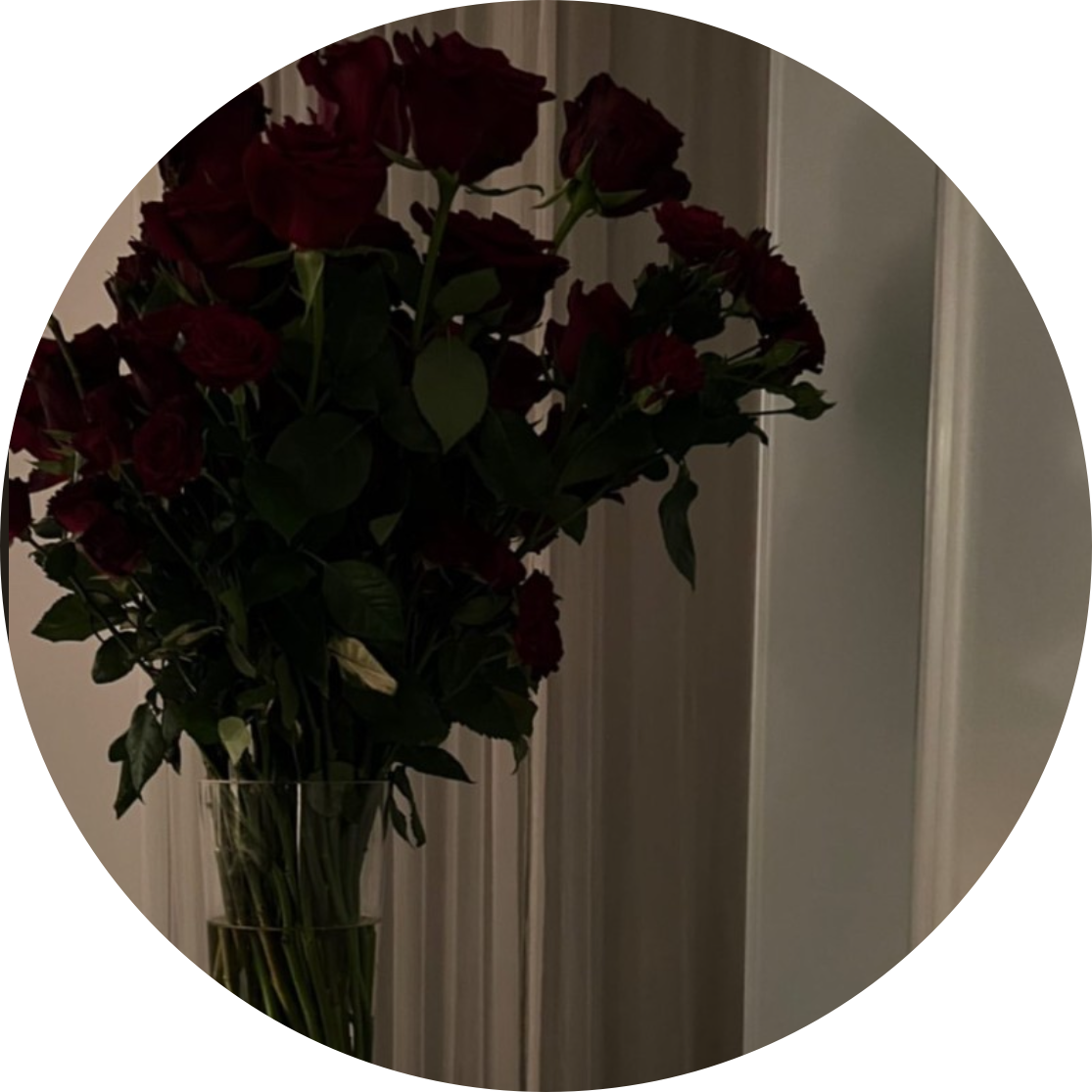 RedRose 프로필