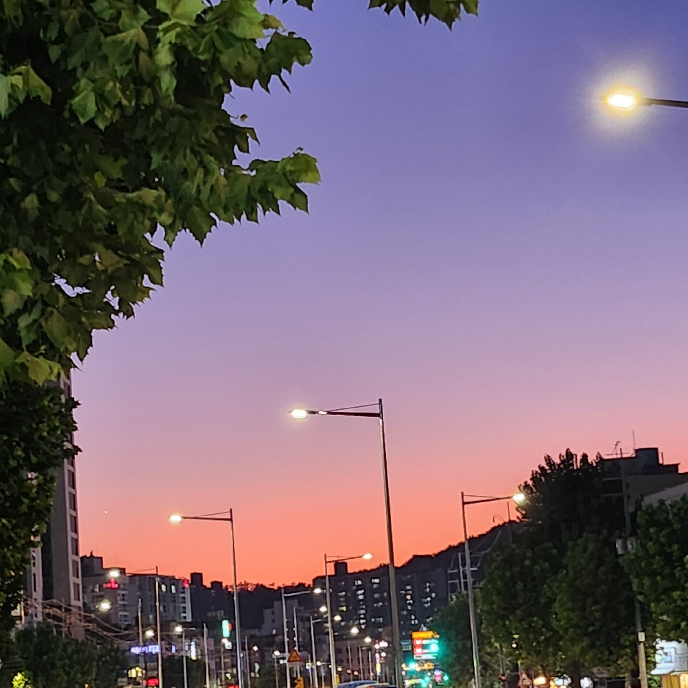 해피치쥬 프로필