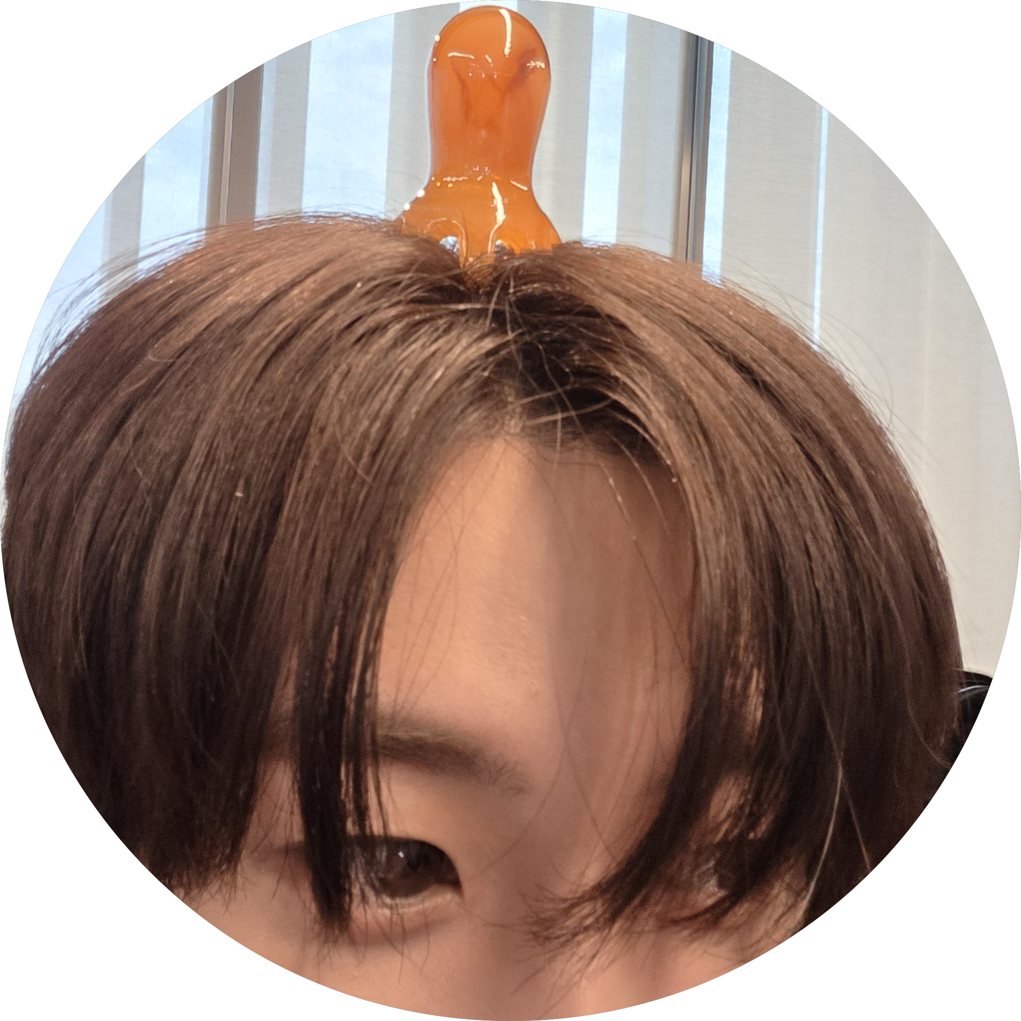 브라키오사우루스 프로필