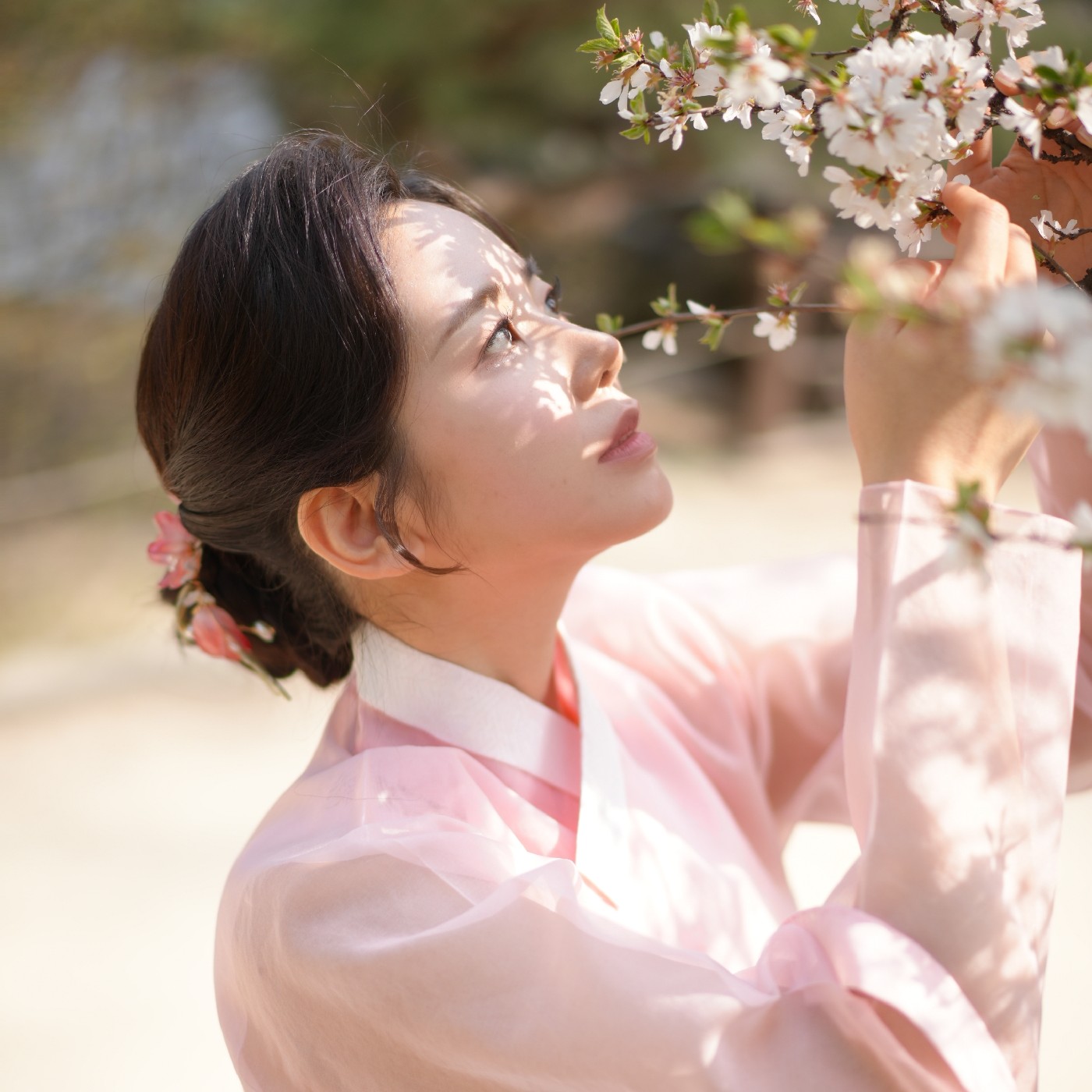 피부광을위하야 프로필