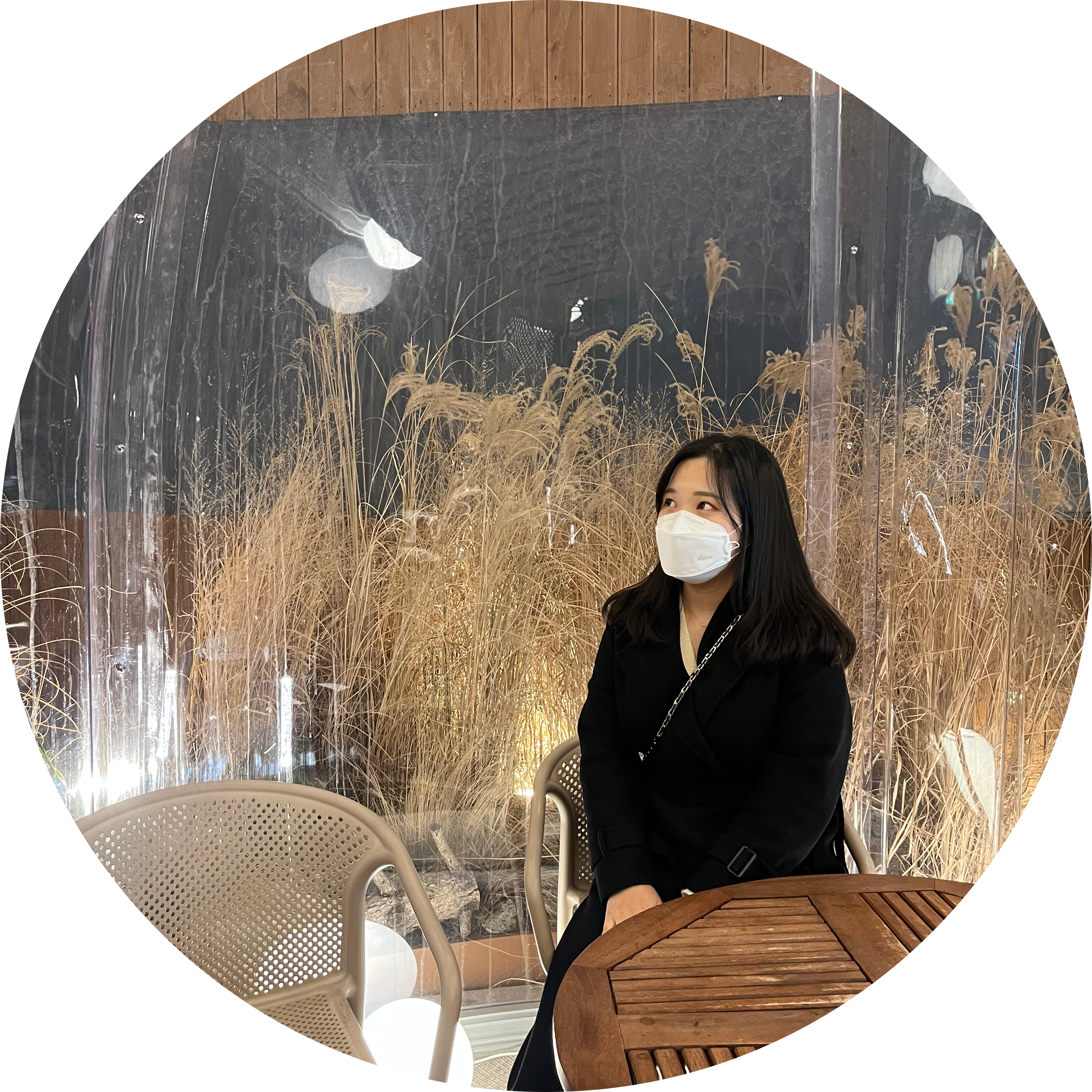 연불리 프로필