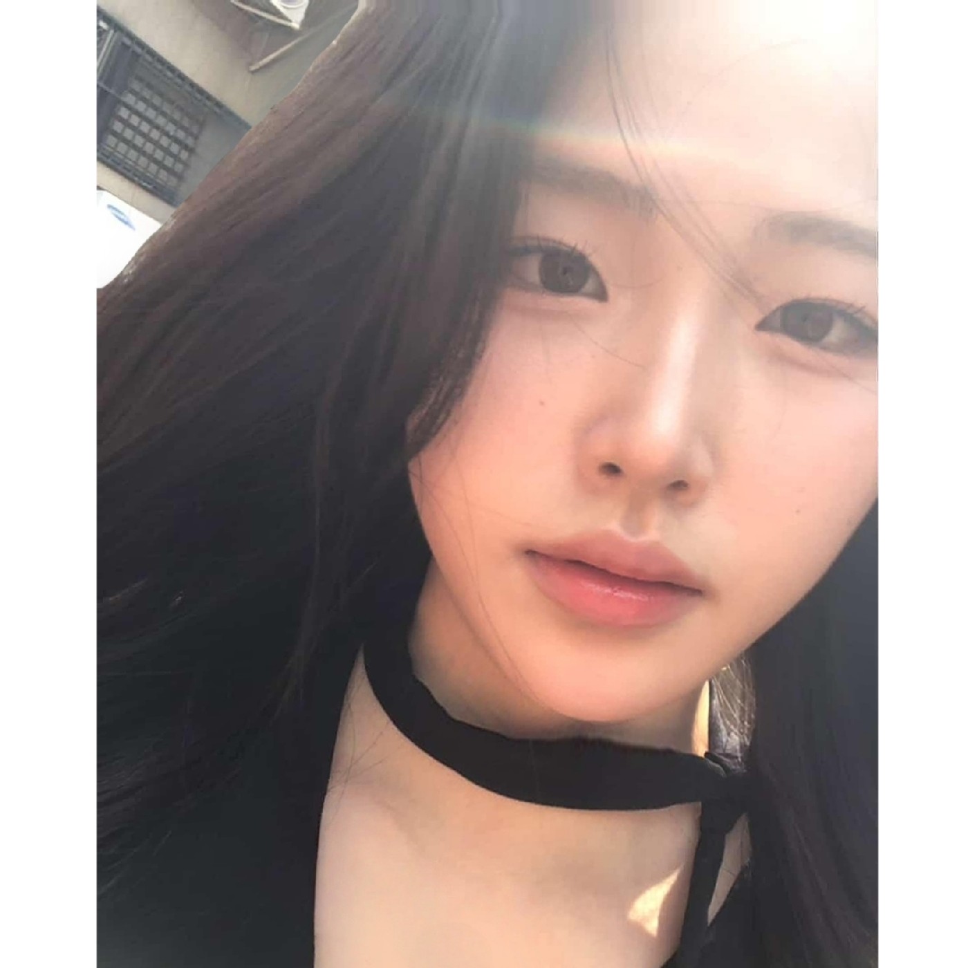 소프틴 프로필