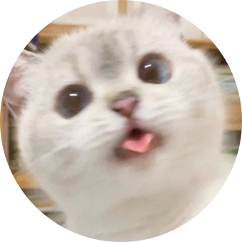 하얀눈꽃 프로필