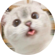 하얀눈꽃
