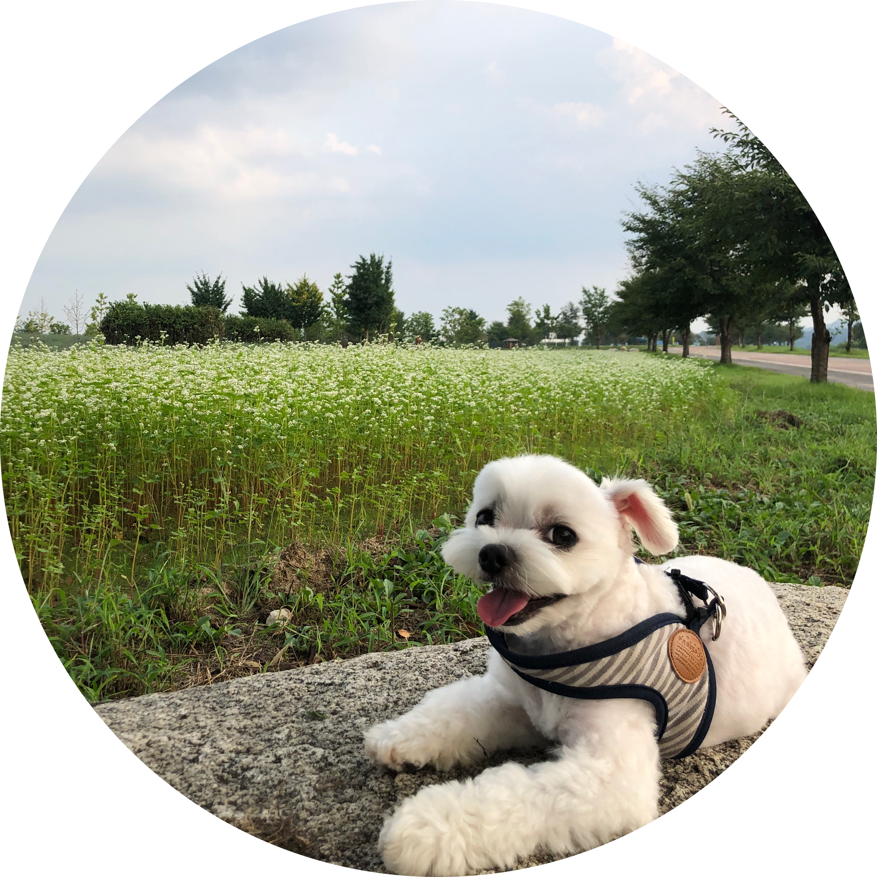 리뷰어 프로필
