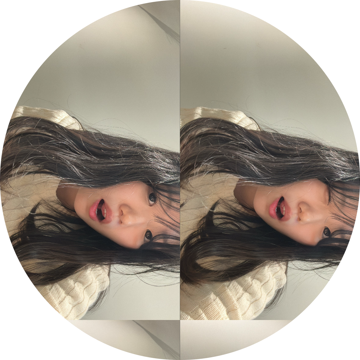 단감자 프로필