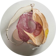 oe
