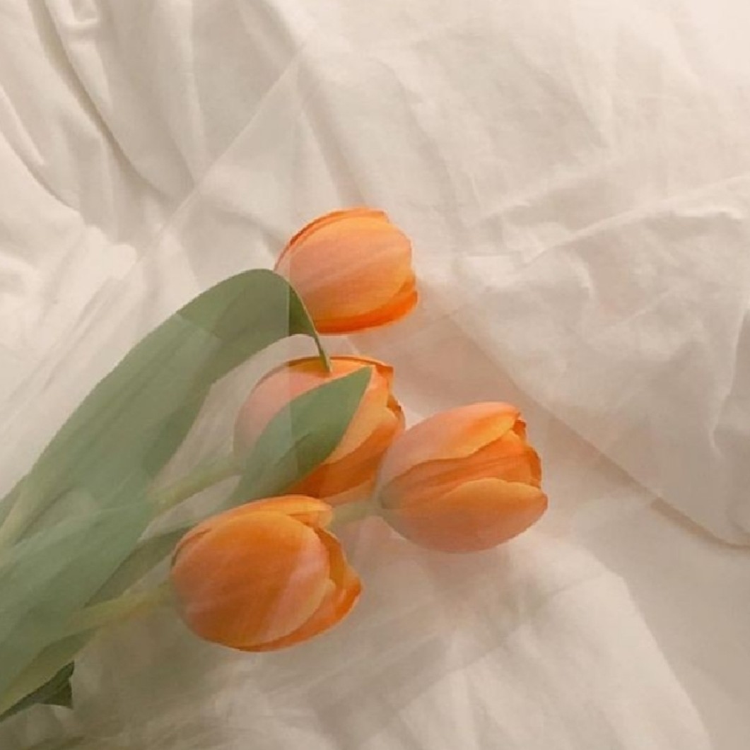 세화_s 프로필
