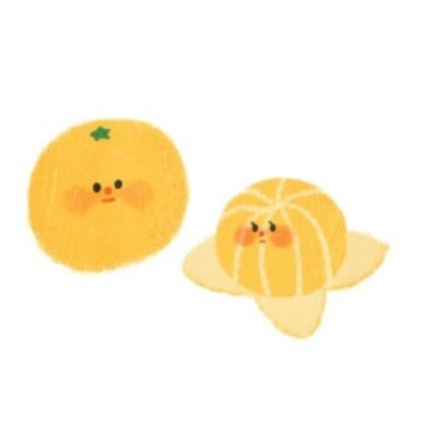 문귤지 프로필