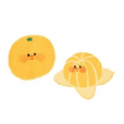 문귤지