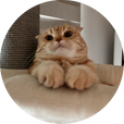 탄식빵